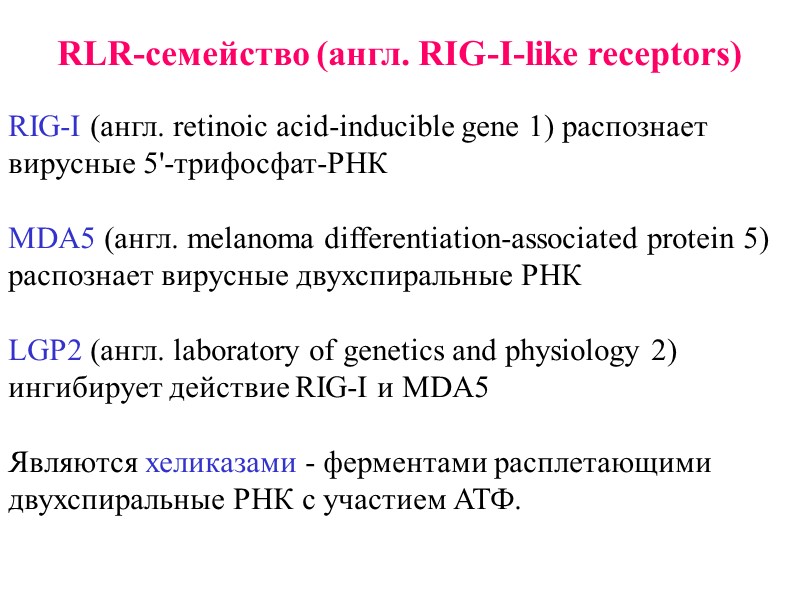RLR-семейство (англ. RIG-I-like receptors)  RIG-I (англ. retinoic acid-inducible gene 1) распознает вирусные 5'-трифосфат-РНК